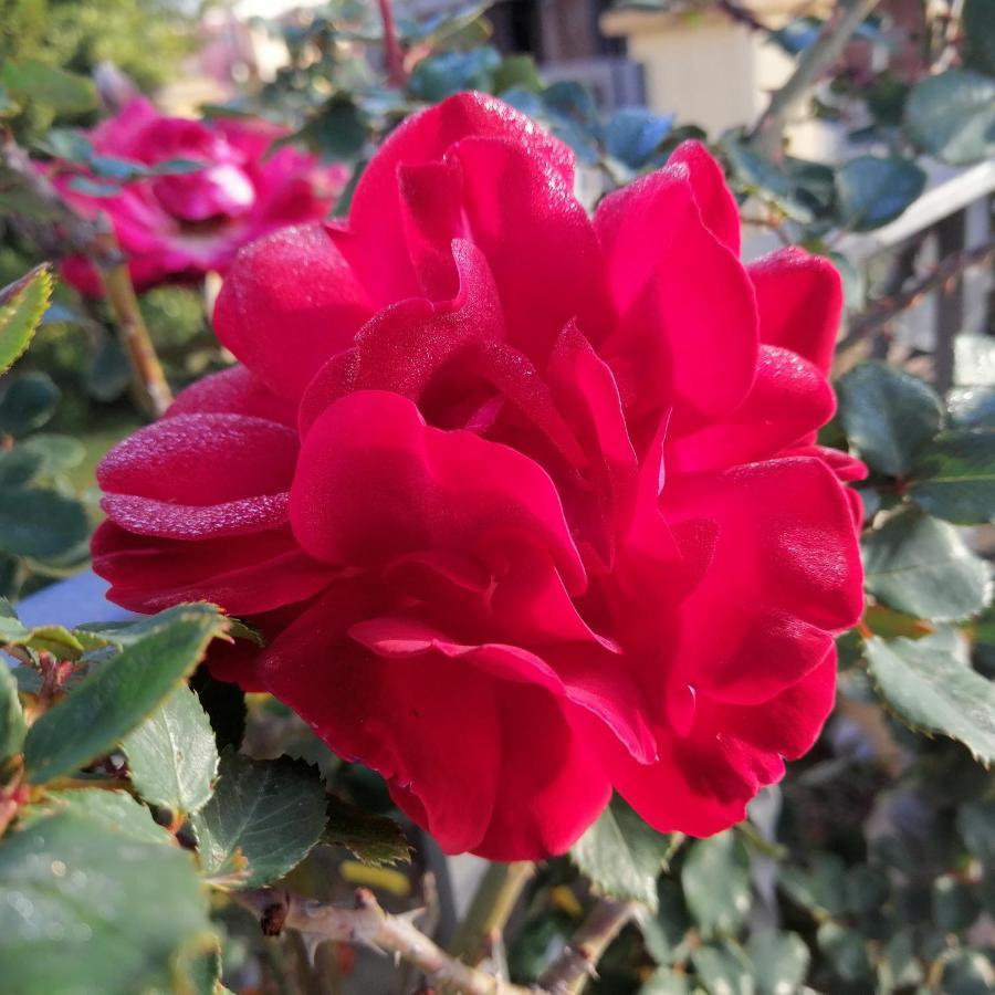 Acquachiara Home 빌라시미우스 외부 사진
